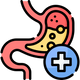 Improve Digestion Capacity
